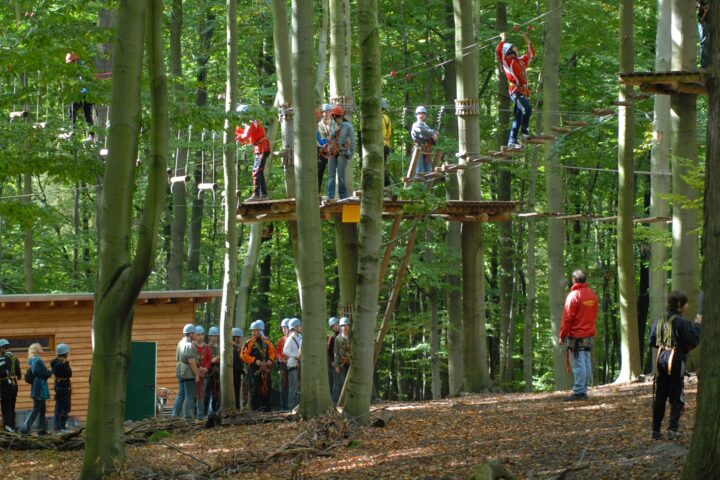 Eine Gruppe von Menschen, die Helme und Sicherheitsgurte tragen, nimmt im Rahmen des Rahmenprogramms 3 an einem Hochseilgarten im Wald teil. Einige klettern auf Plattformen und Seilbrücken, während andere auf dem Boden stehen oder in der Nähe eines Holzgebäudes warten.