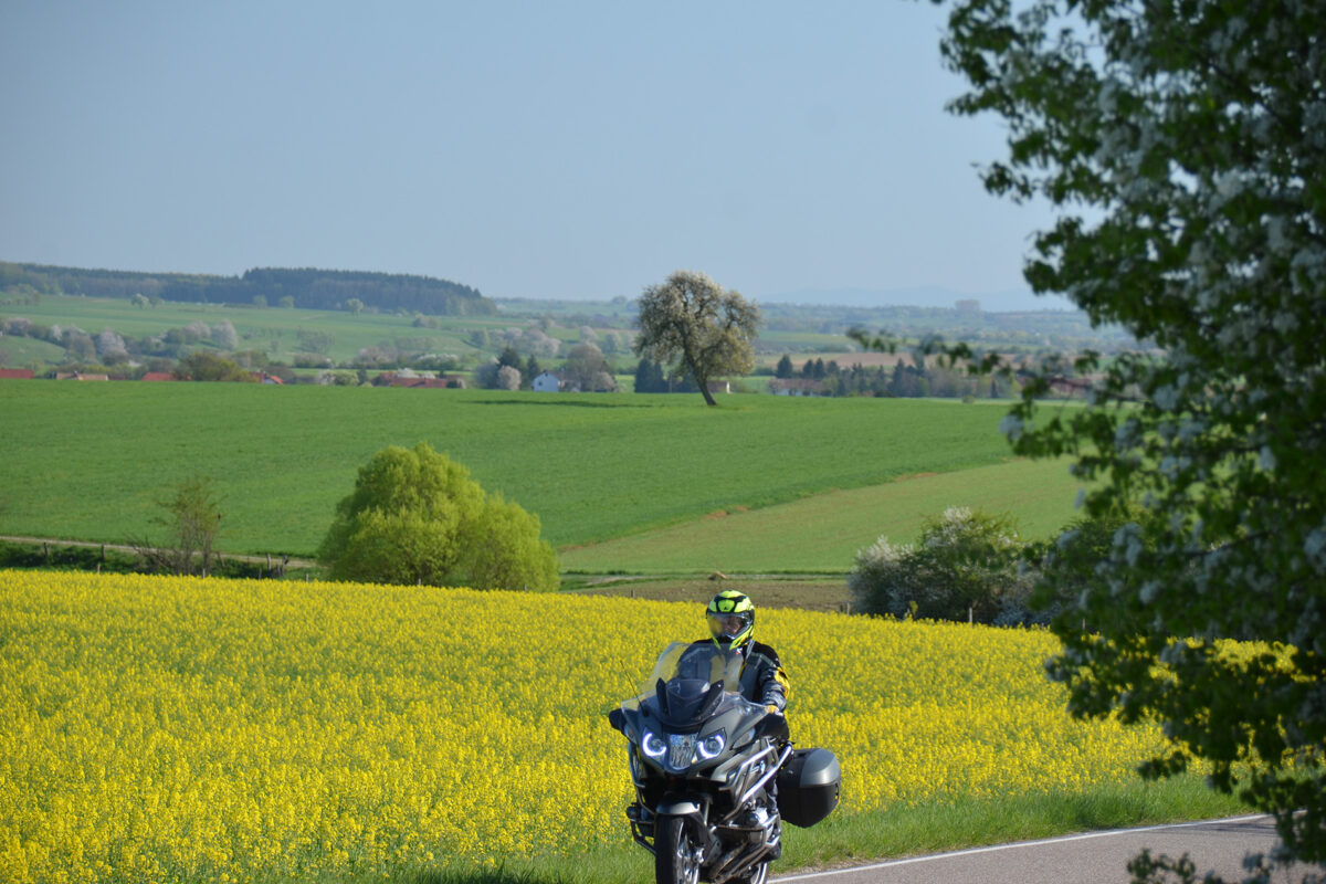Eine Person mit Helm fährt auf einer Landstraße mit einem schwarzen Motorrad und ist damit Teil des malerischen Rahmenprogramms. Im Vordergrund bedecken gelbe Blumen das Feld, im Hintergrund sind unter einem klaren Himmel grüne Felder, ein Baum und ferne Hügel zu sehen.